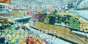 日本との物価の違いは？