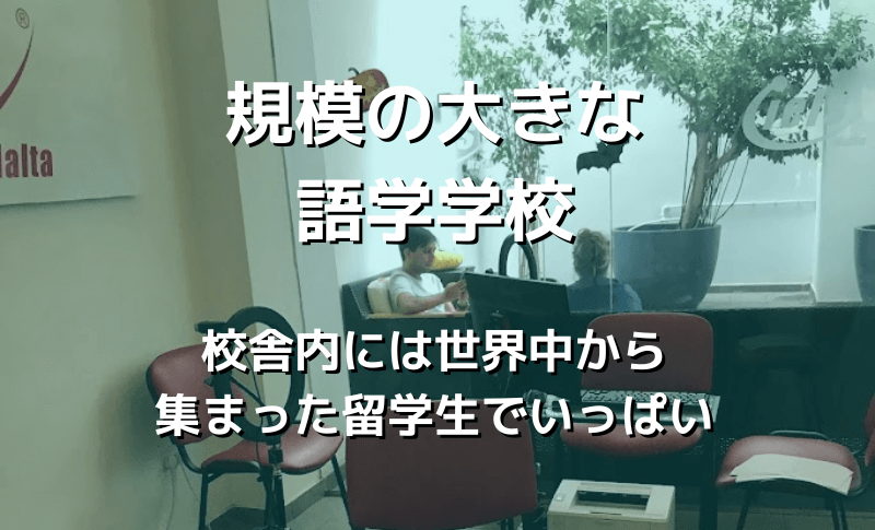 規模の大きな語学学校
